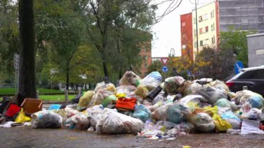 Şehirdeki çöplük, ekoloji konsepti