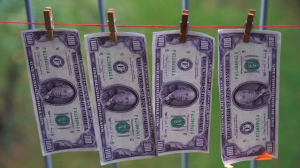 Usa Amerika New York 2023 Para 100 Dolarlık Banknotlar Amerika — Stok video