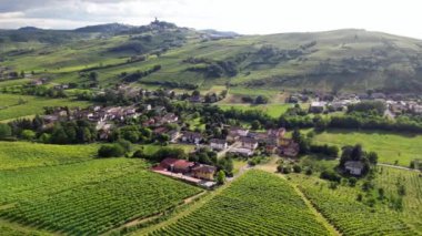 İtalya, yeşil doğa tepeleri olan kırsal bir arazinin insansız hava aracı görüntüsü, Toskana ve Lombard Apennines üzüm bağları sıraları ile İtalyan şarabı üretimi için hasat etmeye hazır