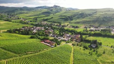 İtalya, yeşil doğa tepeleri olan kırsal bir arazinin insansız hava aracı görüntüsü, Toskana ve Lombard Apennines üzüm bağları sıraları ile İtalyan şarabı üretimi için hasat etmeye hazır