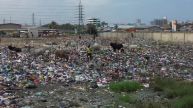 Gana, Accra, 10,18,24 AGBOGBLOSHIE çalışanı Afrika 'nın en büyük gecekondu çöplüğünde elektronik ve plastik atık için yaşıyor. Odaw Nehri Yüksek Çevre Zehirli Kirlilik Alanı, İklim Değişikliği 