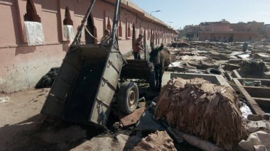 Africa,Morocco, Marrakech 12,28,2024 The Sidi Yacoub tannery inside the Medina souk of Marrakech where leather is colored with ancient and traditional systems of color immersion - tanning of hides clipart