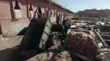 Afrika, Fas, Marakeş 12,28,2024 Marakeş 'teki Sidi Yacoub tabakhanesi Marakeş' in Medine çarşısında deri eski ve geleneksel renk işleme sistemleriyle renklendirilmiştir.