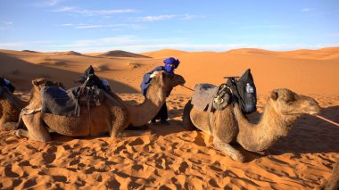 Afrika, Fas, Merzouga 5,12025 turist, bir Berber rehberiyle Sahra Çölü 'ne maceralı bir gezi düzenler. Kum tepeleri çöl develerine giderler. Gün batımı ve Tuareg berberi.
