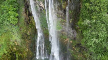 Yeşil ağaçlı vahşi doğa manzarası. Marmore şelalelerinin görkemli manzarası