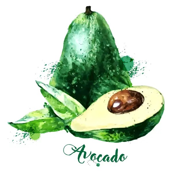 Beyaz arkaplanda Avokado su rengi