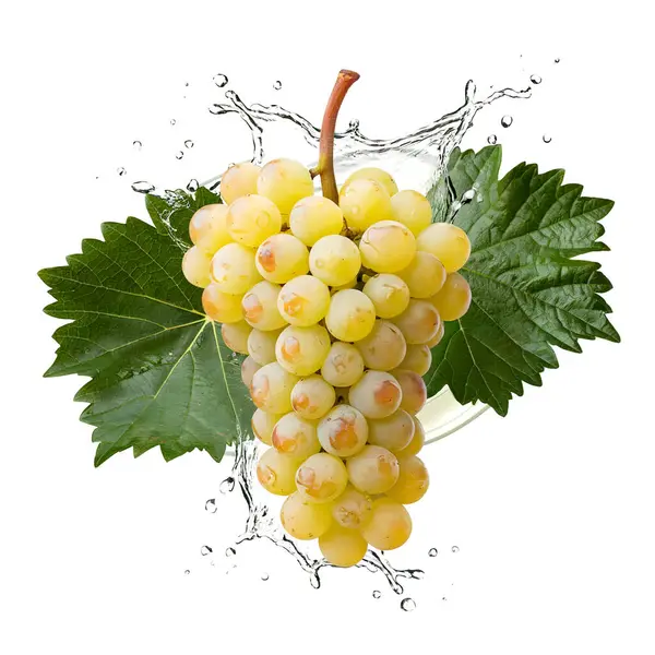 Beyaz arkaplanda su sıçraması olan beyaz üzümler