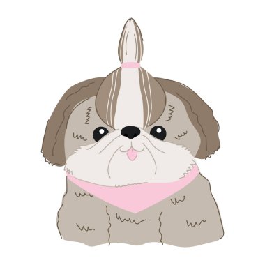 Şirin çizgi film stili shih tzu köpeği. Düz vektör çizimi. Beyazda izole edilmiş.