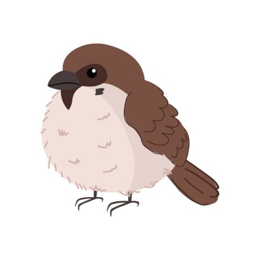 Şirin çizgi film stili serçe kuşu. Beyazda izole edilmiş.