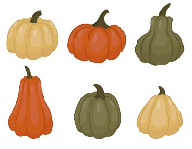 Çeşitli şekil ve renklerde el yapımı balkabakları. Şükran Günü ve Cadılar Bayramı tasarım elementleri. Beyazda izole edilmiş.