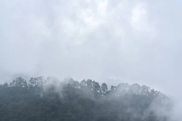 Баннер Концепции Картинки Красивых Горных Пейзажей Утренний Туман — стоковое фото