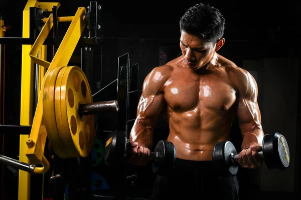 亚洲男子在健身房举重时肌肉匀称的形象 免版税图库照片