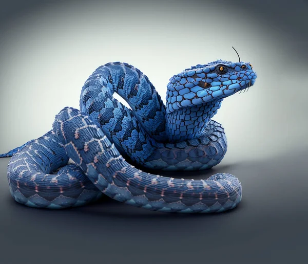Serpente Azul-insularis Víbora Venenosa Imagem de Stock - Imagem