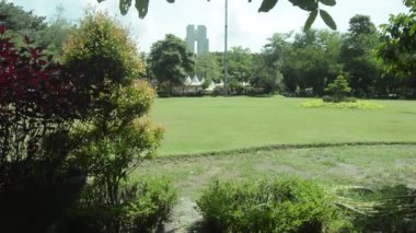 Orada büyüyen bitkilerle dolu şehir parkı manzarası. Güzel bahçe manzarası.