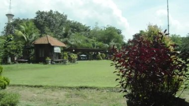 Orada büyüyen bitkilerle dolu şehir parkı manzarası. Güzel bahçe manzarası.