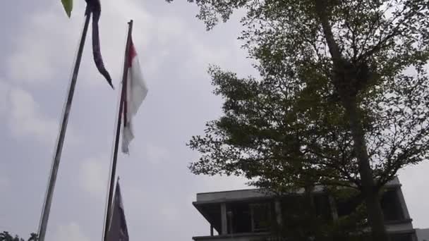 Flaggstaten Staden Indonesien — Stockvideo