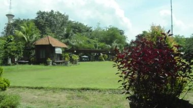 Orada büyüyen bitkilerle dolu şehir parkı manzarası. Güzel bahçe manzarası.