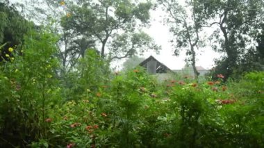 Yağmurlu koşullarda bahçe manzarası