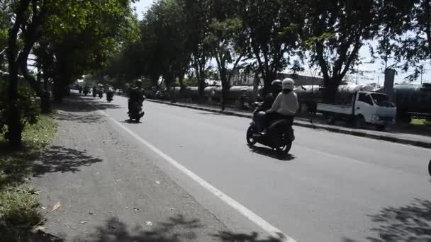 Sidoarjo Indonesia Marzo 2023 Vista Carretera Con Árboles Lado Carretera — Vídeos de Stock
