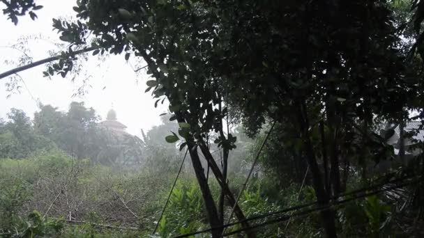 Vue Sur Jardin Avec Conditions Pluvieuses — Video