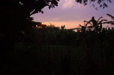 Güneşin batmaya başladığı bahçede siluet