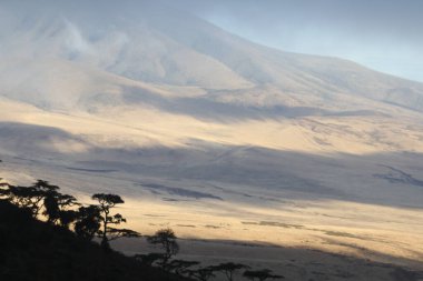 Kraterin Üzerindeki Şafak: Afrika 'nın Uçsuz bucaksız Yabanı' nın Sisli Tepeler Altında Uyanışı