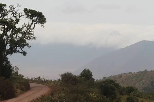 Misty Horizons: Bereketli, bulutlarla kaplı dağlık Tanzanias Ngorongoro Krateri 'nin yakınlarına uzanan dolambaçlı toprak bir yol macera ve sükuneti davet ediyor..
