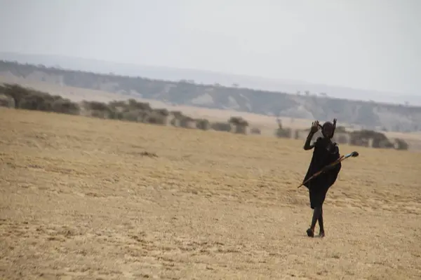 Güneşte kavrulmuş savanda yalnız bir adım dayanıklılık ve hareketli bir gelenek.