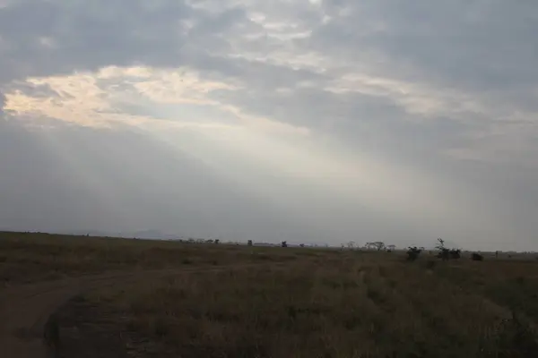 İlahi Işık: Geniş Afrika Ovalarını aydınlatmak için Bulutların arasından Güneş ışınları Kırıldı