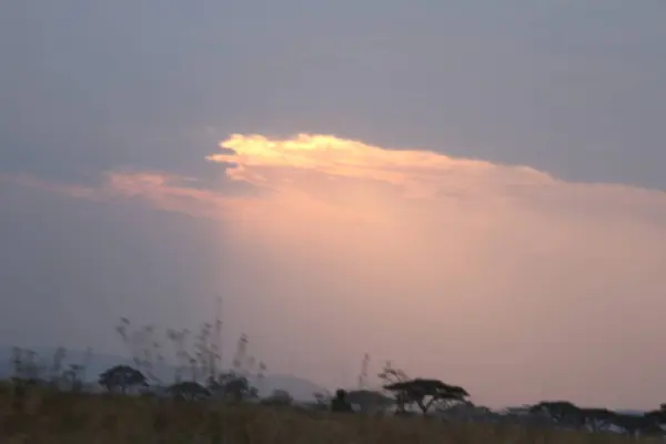 Gökyüzü, Güneş Uzak Ufuk 'un Arkasında Yavaşça Batarken, Afrika Gökyüzü Altın Işıkla Işıklanıyor