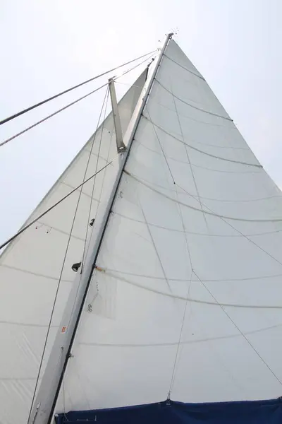 Beyaz yelkenlere yakın çekim. Gıcır gıcır beyaz yelkenler rüzgarı yakalar ve denizlerde hayaller taşır..