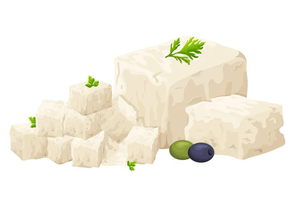 Tofu Pieces Soy Bean Curd Nutrition Healthy Food Vegan Organic — Stock Vector