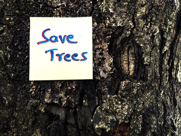 배경에 나무로 여자를 구하는 표시가 새겨져 — 스톡 사진
