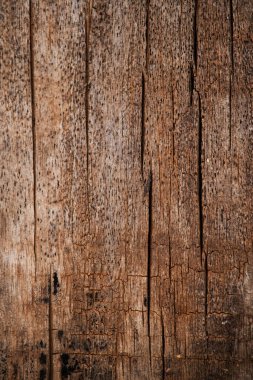 Duvar kağıdı için kahverengi astarlı ahşap desen