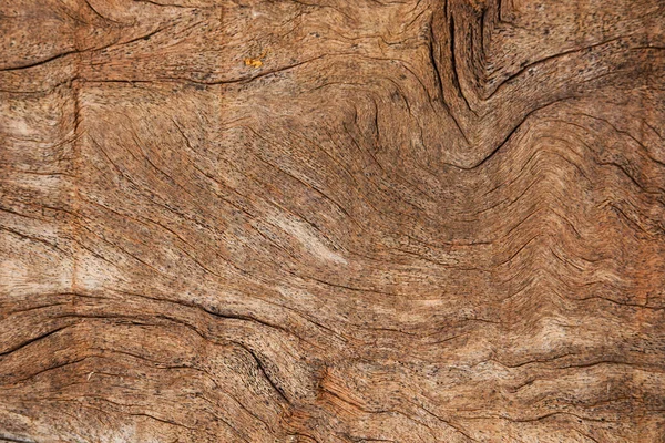 picture of wood containing pattern texture design for wallpaper