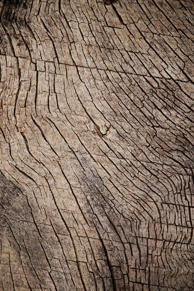 Holzfutter Muster Textur Design Für Tapeten — Stockfoto