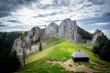 Romanya 'nın Karpat Dağları' ndaki Buila Vanturarita Ulusal Parkı 'nda sonbahar. Ormanda canlı sonbahar renkleri. Renkli Sonbahar Yaprakları. Yeşil, sarı, turuncu, kırmızı.