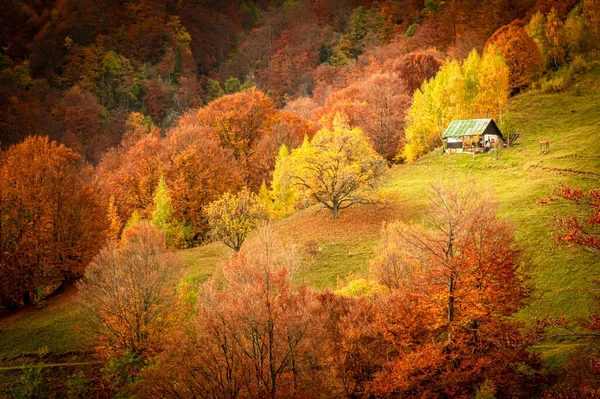 Autumn Buila Vanturarita National Park Carpathian Mountains Romania Patrunsa Hermitage — Stock Photo, Image