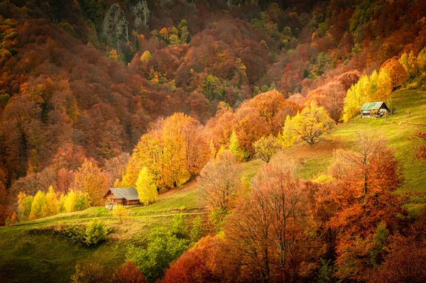 Jesień Parku Narodowym Buila Vanturarita Karpaty Rumunia Pustelnia Patrunsa Otoczona — Zdjęcie stockowe