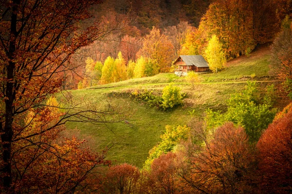 Jesień Parku Narodowym Buila Vanturarita Karpaty Rumunia Pustelnia Patrunsa Otoczona — Zdjęcie stockowe