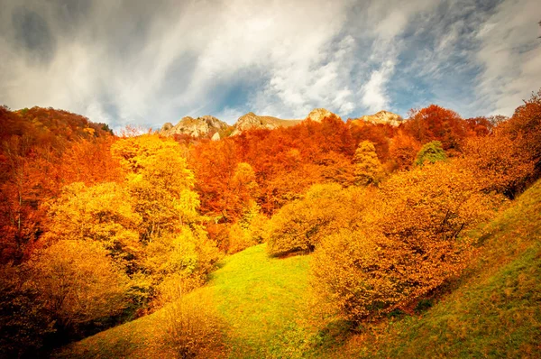 Herfst Buila Vanturarita National Park Karpaten Roemenië Levendige Herfstkleuren Het — Stockfoto