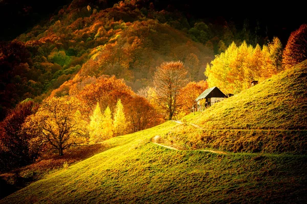 Herfst Buila Vanturarita National Park Karpaten Roemenië Patrunsa Hermitage Omgeven — Stockfoto