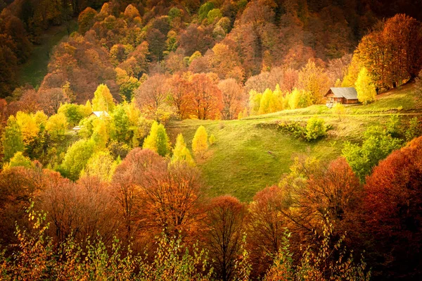 Otoño Parque Nacional Buila Vanturarita Montañas Cárpatas Rumania Ermita Patrunsa —  Fotos de Stock