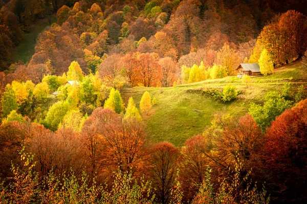 Autunno Nel Parco Nazionale Buila Vanturarita Carpazi Romania Eremo Patrunsa — Foto Stock