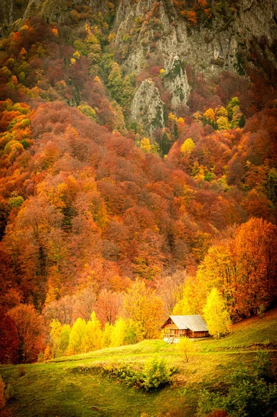 Outono Parque Nacional Buila Vanturarita Montanhas Cárpatas Roménia Ermida Patrunsa — Fotografia de Stock
