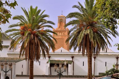 ALGERYA 'DA TLEMCEN' DE MANSOURAH MINARET 'İN GİZLİ Yıkıntıları