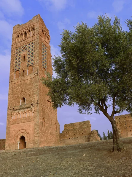 Grande Mosque Les Ruines Minaret Mansourah Dans Ville Tlemcen Algérie — Photo