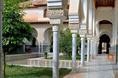 ALGERYA 'DA TLEMCEN' DE MEKOAR PALESİ