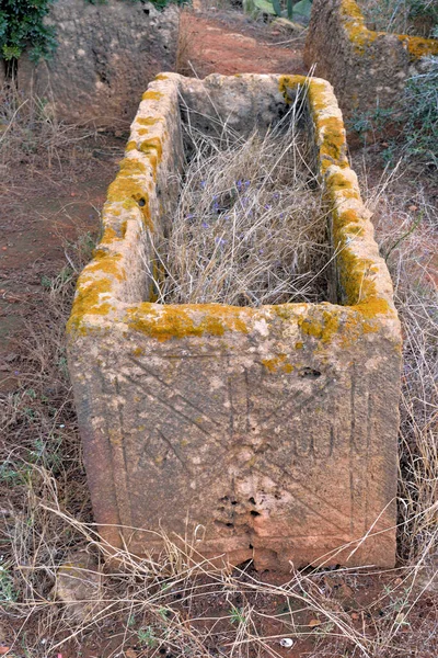 Tipaza Argelia Ruinas Romanas Cristianas Primeras — Foto de Stock