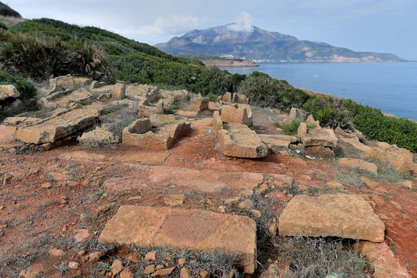 Tipaza Algerie Roman Early Christian Ruins — Stock fotografie